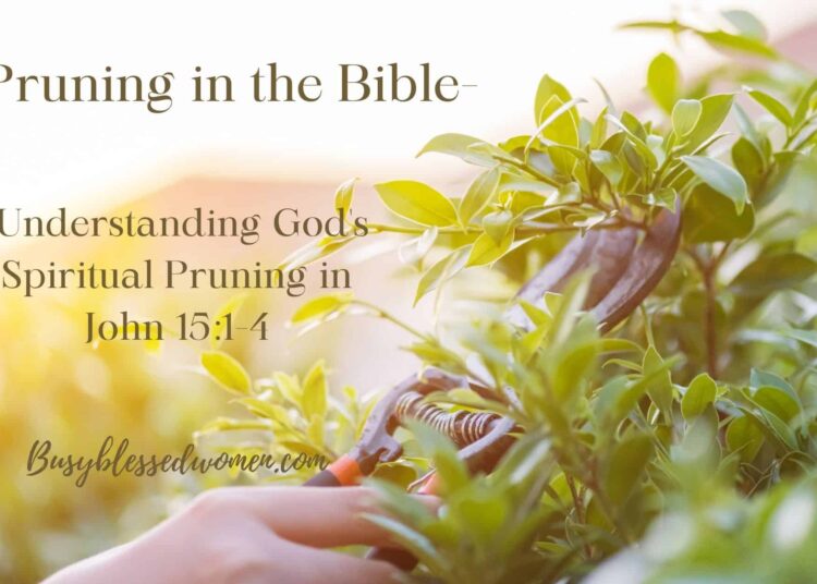 Pruning within the Bible –