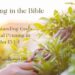 Pruning within the Bible –