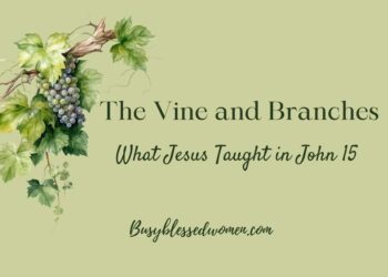 Jesus’ Educating in John 15 –