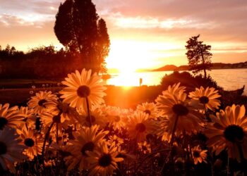 Was the Fall a Needed A part of God’s Plan for Humanity?