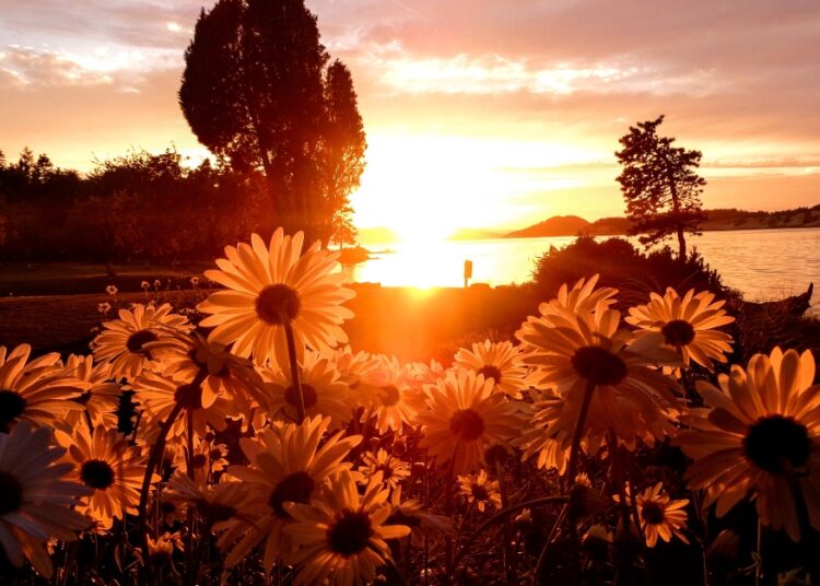 Was the Fall a Needed A part of God’s Plan for Humanity?