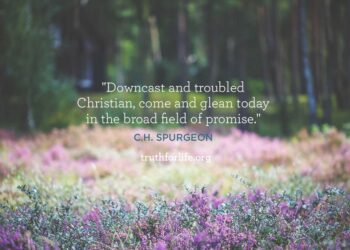 Area Of Promise: Wallpaper