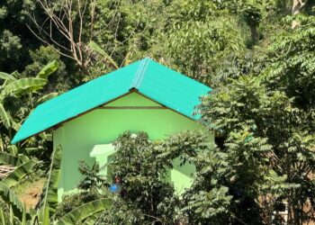 A Damaged Church Grows – Christian Freedom Worldwide