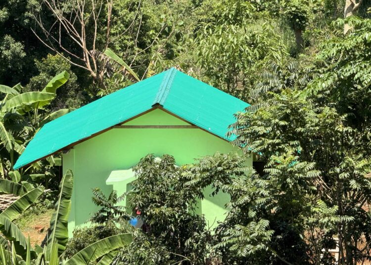 A Damaged Church Grows – Christian Freedom Worldwide