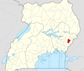 Evangelist Who Led Muslims to Christ Slain after Gospel Occasion