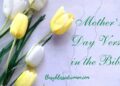 Finest Mom’s Day Verses within the Bible –