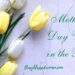 Finest Mom’s Day Verses within the Bible –