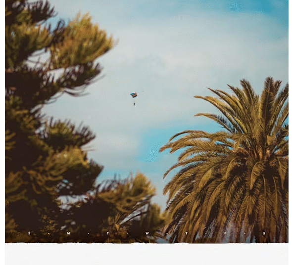 Bible Research for Life Customizable Group Plans