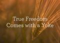 True Freedom Comes with a Yoke