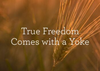 True Freedom Comes with a Yoke