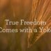 True Freedom Comes with a Yoke