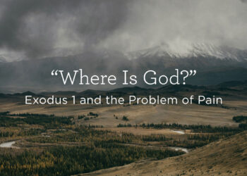 Exodus 1 and the Downside of Ache