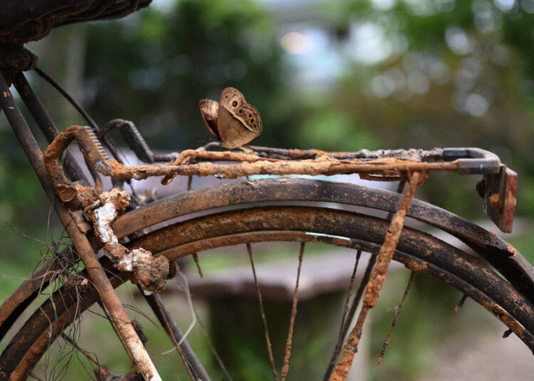 Two Methods the Hope of Heaven Battles Your Nervousness