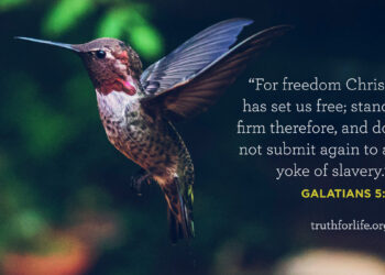 Wallpaper: For Freedom