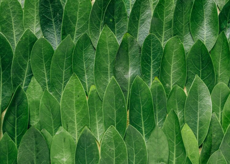 A Thousand Occasions | DanWilt.com