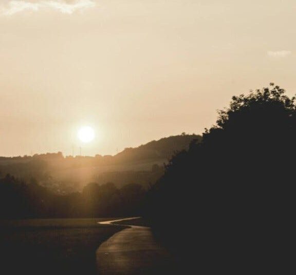 A Loyal Chief – by Courtney Gilmore