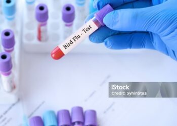 PESTILENCES IN THE NEWS AND GLOBAL PESTILENCES TO COME..