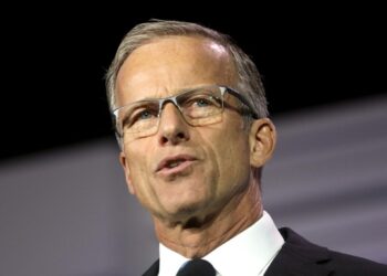 Parliamentarian Nixes Provisions in ‘Large, Lovely Invoice’