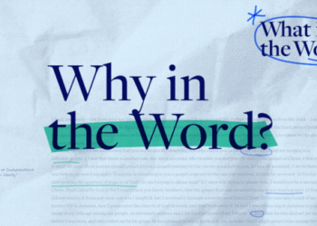Why within the Phrase? | A Behind the Scenes Recap of Season 1