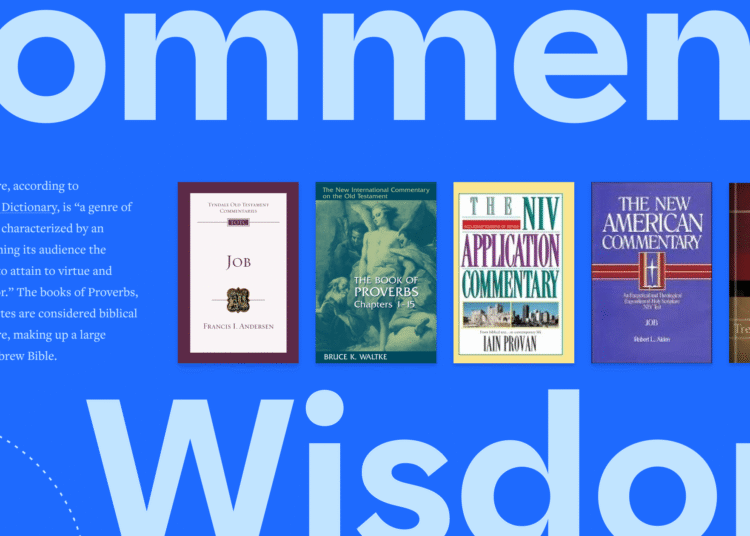 9 Commentaries on Knowledge Literature (& Why It Issues)