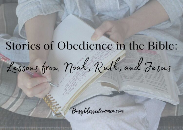 Classes from Noah, Ruth, and Jesus –