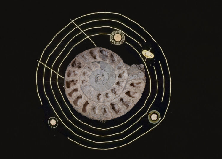 Are Creationists Anti-Science? | Crossway Articles