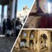 Blood within the Mountains: Syria’s Forgotten Faiths Below Hearth