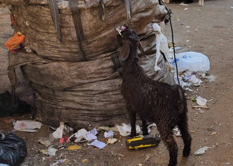 Behind the Tears – Christian Freedom Worldwide