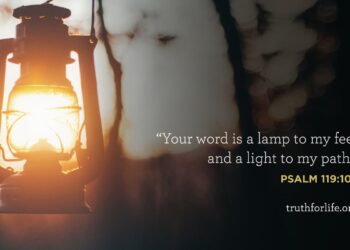 Wallpaper: Gentle To My Path