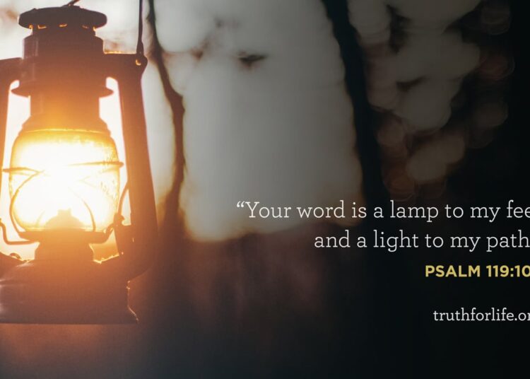 Wallpaper: Gentle To My Path