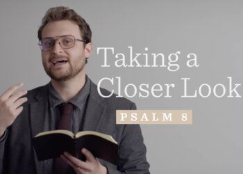 Taking a Nearer Take a look at Psalm 8