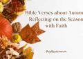 Reflecting On the Season with Religion –