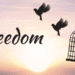 The Path to True Freedom