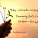 Why is Kindness Necessary? –