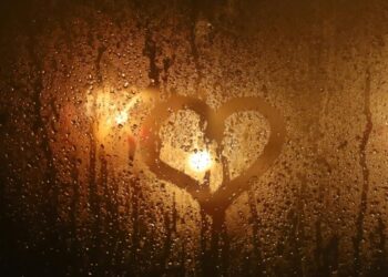 Revealing the Coronary heart – by Courtney Gilmore