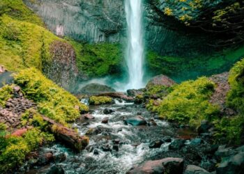 God’s Love and Energy on Show