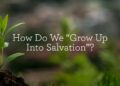 How Do We “Develop Up into Salvation”?