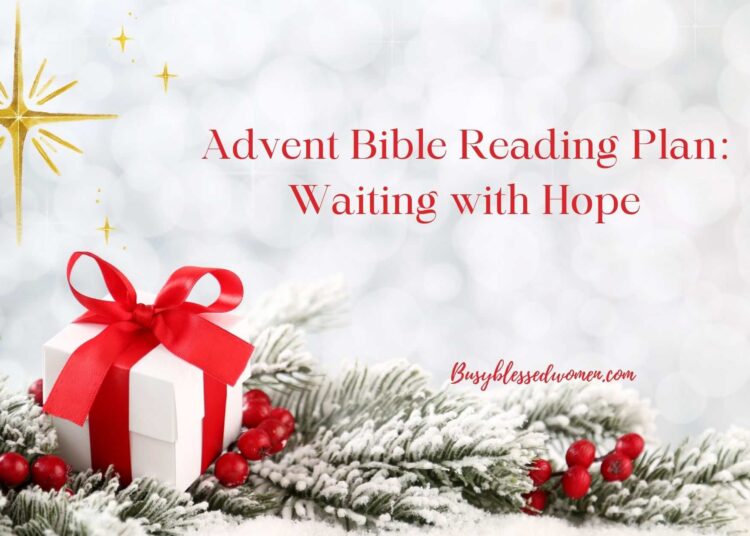 25-Day Creation Bible Studying Plan to Put together Your Coronary heart for Christmas –