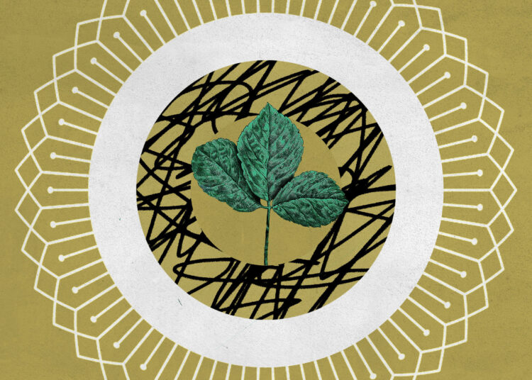 You Are Free from the Burden of Being Sovereignly in Management