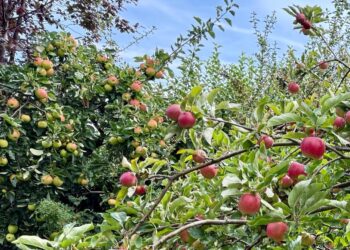 September’s reflection from the Moderator