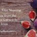 Classes from the Fig Tree Cursed by Jesus –