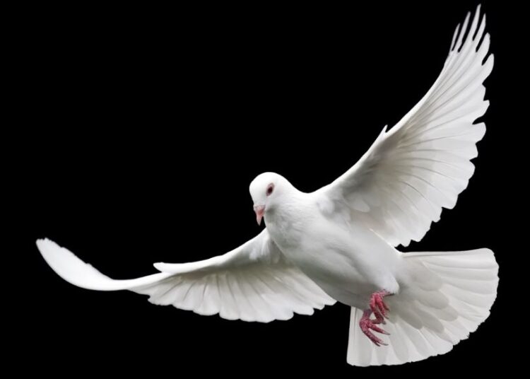 Be part of the Moderator in a prayer for peace this Sunday