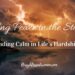 Discovering Peace within the Storm-Discovering Calm in Life’s Hardships –
