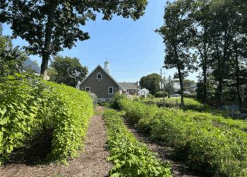 Lengthy Island Backyard Ministry Bears Witness for 15 Years