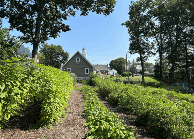 Lengthy Island Backyard Ministry Bears Witness for 15 Years