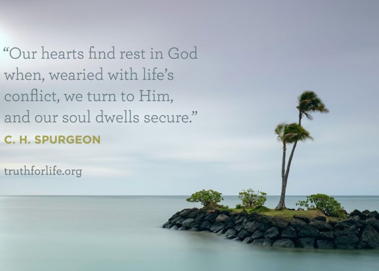 Wallpaper: Our Soul Dwells Safe