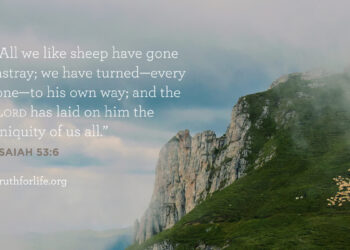 Wallpaper: All We Like Sheep