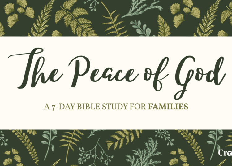 Crosswalk – Develop in Religion with Day by day Christian Residing Articles