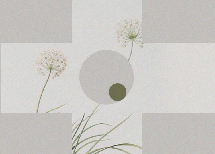 2 Little Phrases That Have 5 Huge Results on Your New Life