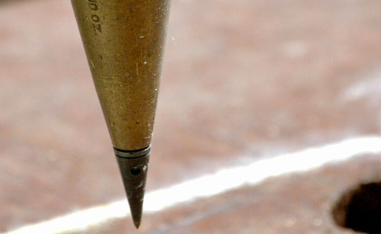 Don’t Lose Coronary heart (Pent. 19, 12 months C)